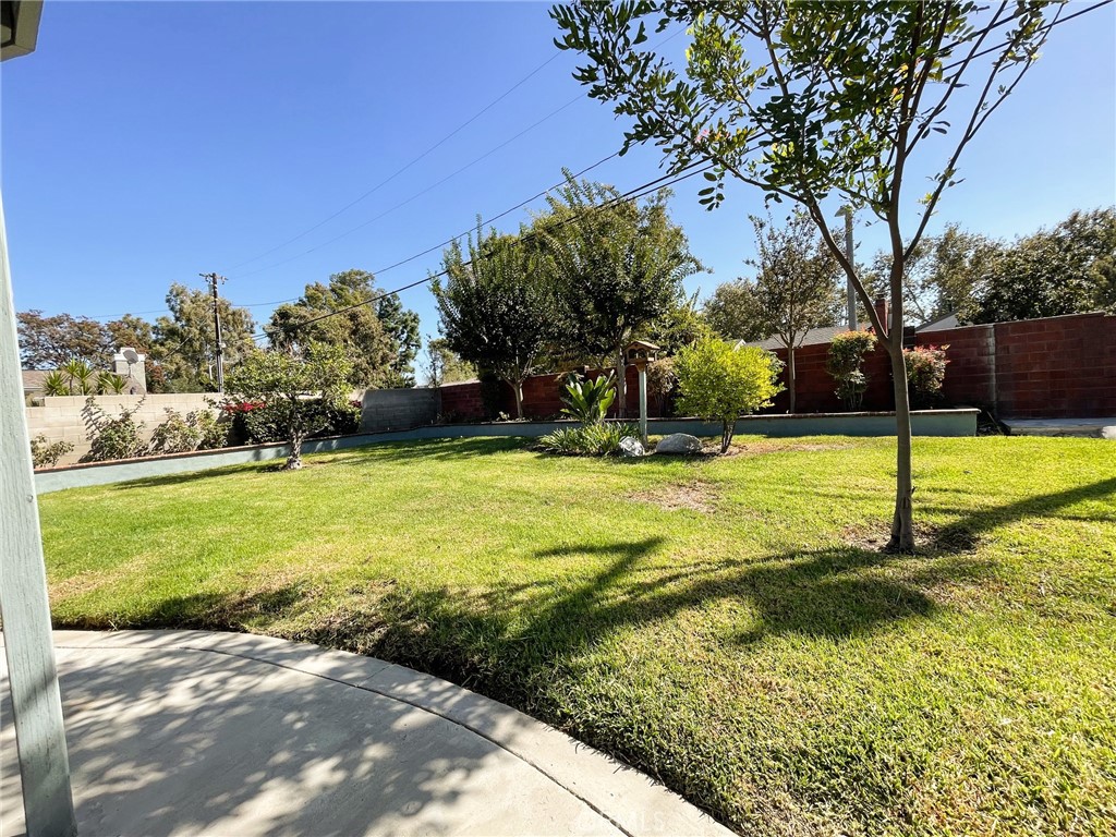 None - Residential Lease