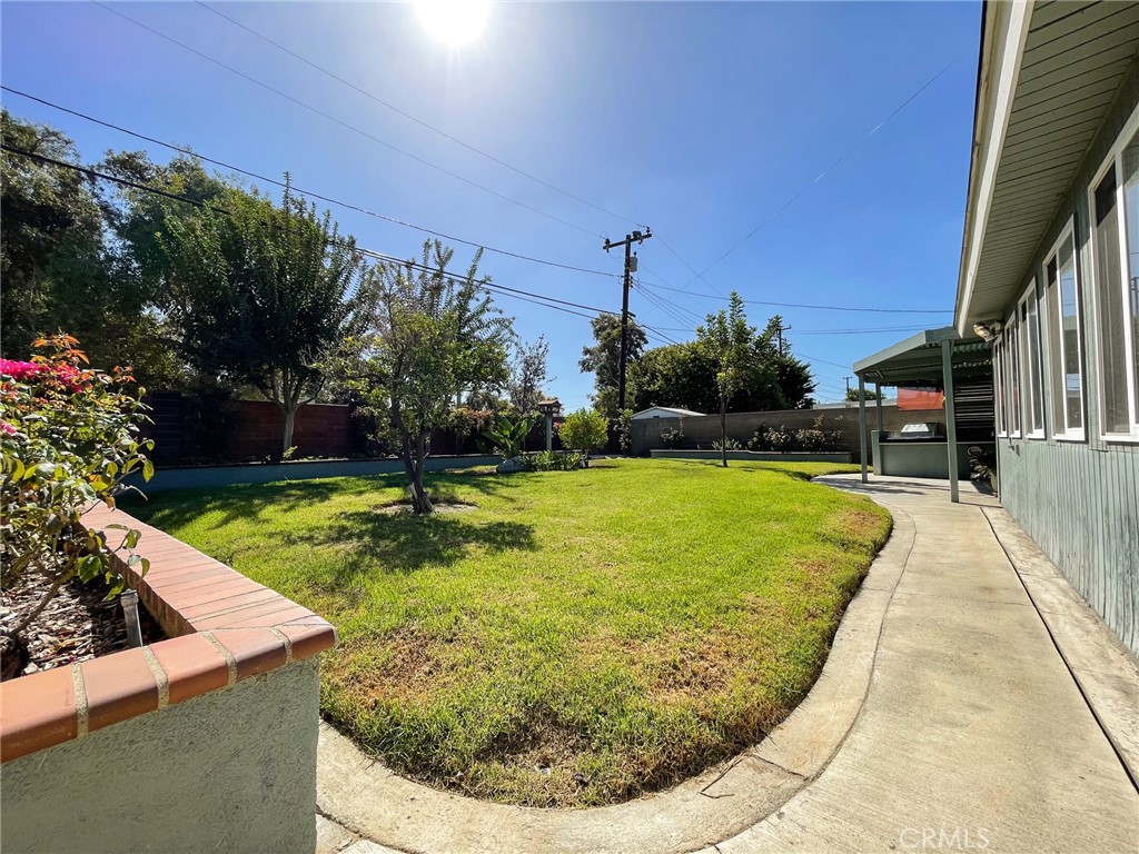 None - Residential Lease