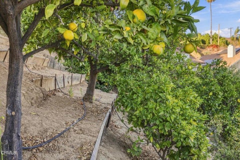 Tiny photo for 379 McGill Avenue, Ventura, CA 93003 (MLS # V1-39308)