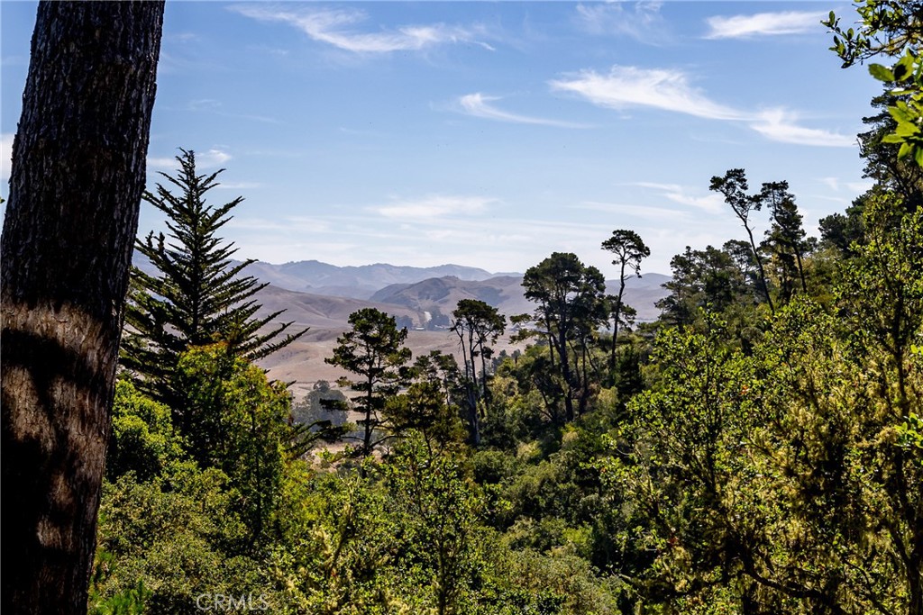 Top of the World(2170) - Residential