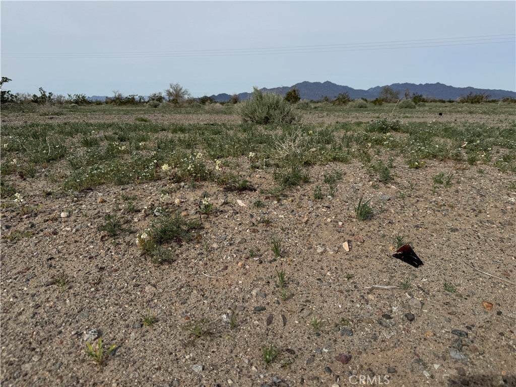 0 Chuckwalla Valley Rd.