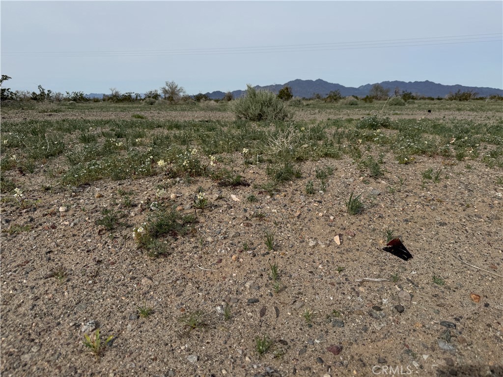0 Chuckwalla Valley Rd.