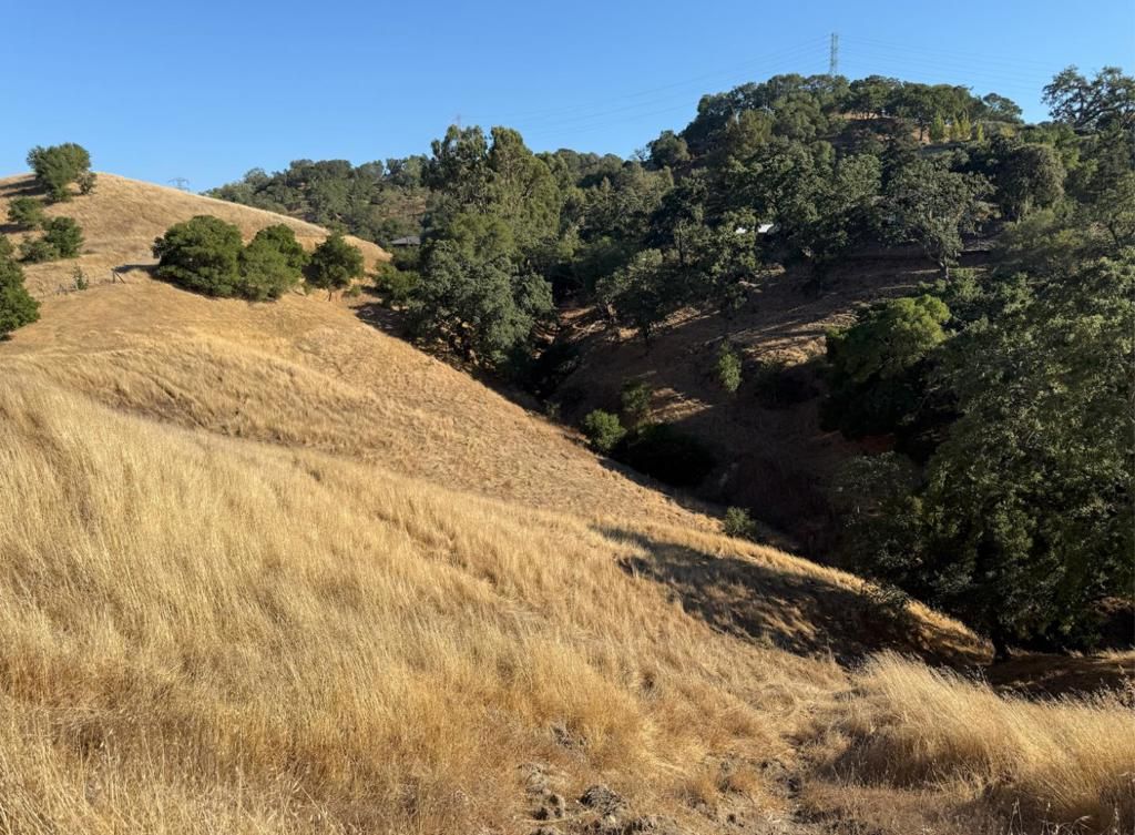 Photo of 575 Morecroft Road, Lafayette, CA 94549 (MLS # ML82023762)