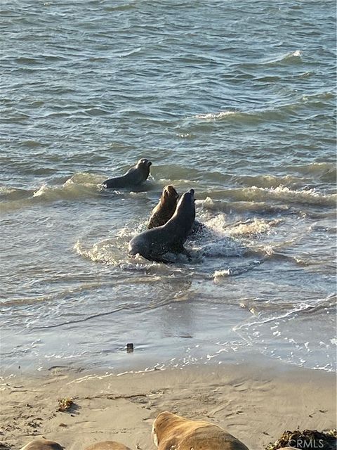 Tiny photo for 4344 Tradewinds Dr, Oxnard, CA 93035 (MLS # SR26004929)