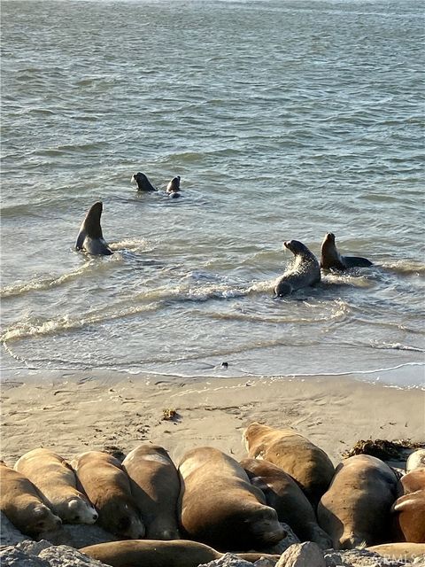 Tiny photo for 4344 Tradewinds Dr, Oxnard, CA 93035 (MLS # SR26004929)