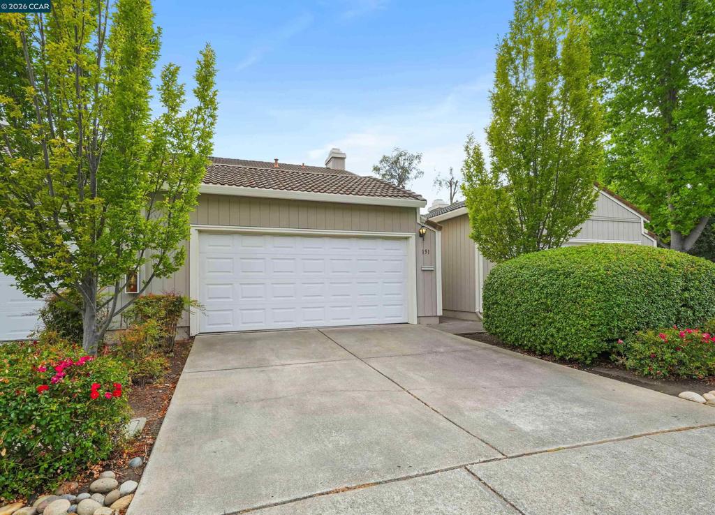151 Terrace Ct CT