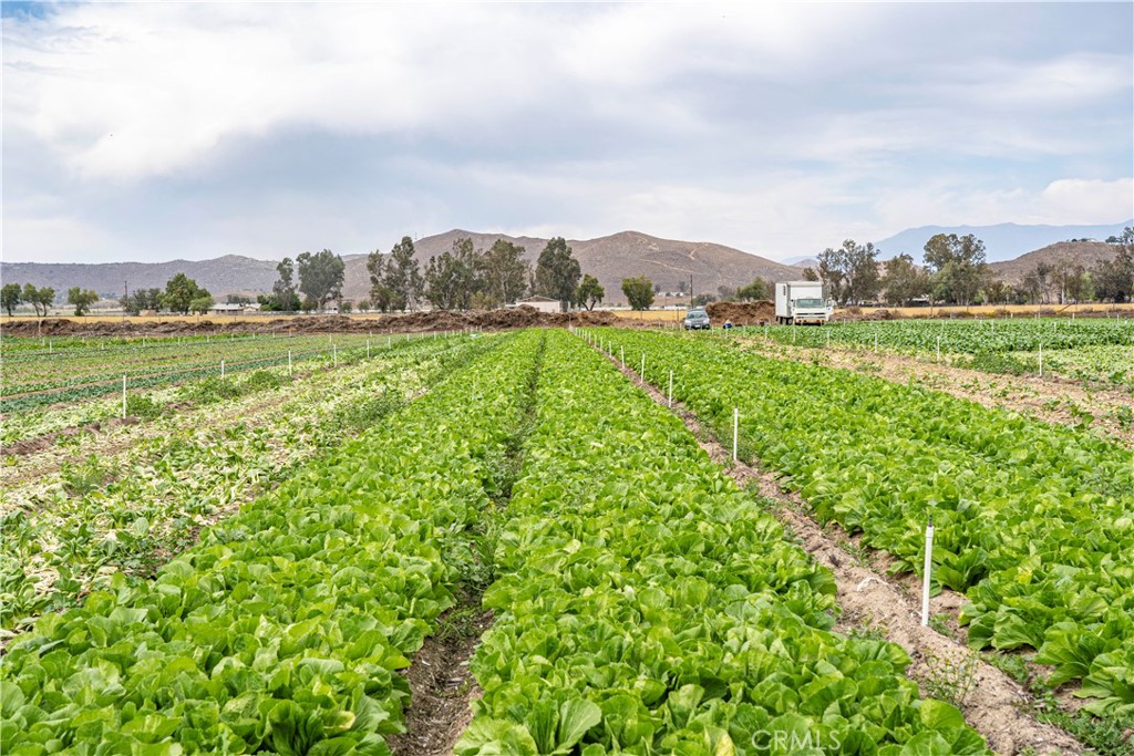 Welcome to 34250 Olive Ave, located in the THRIVING City of Winchester, Ca. This incredible property contains just under 40 Acres of land and is currently being used as an ACTIVE and INCOME GENERATING Farm. This is one of the few farms with full city water and full irrigation on all acres. This is the perfect DEVELOPMENT OPPORTUNITY! This flat usable land is perfect for new home development and is zoned Residential use. Located right off of Winchester Rd, this main street is nicely paved and allows for convenient travel to nearby shopping centers and eateries just minutes away! Don’t miss out on the opportunity of a lifetime to be a part of this rapidly growing city. Adjacent to other beautiful and growing cities, minutes off the 215 HWY and near Diamond Valley Lake, 34250 Olive Ave is the PERFECT OPPORTUNITY you have been searching for!