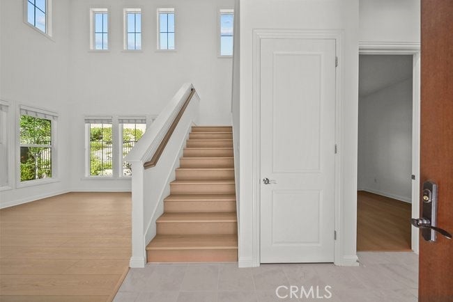 20655 Chestnut
