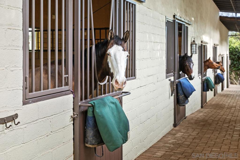 Rancho Santa Fe - Residential