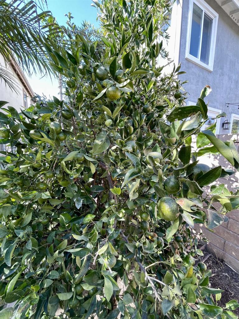 Carmel Valley - Residential Lease