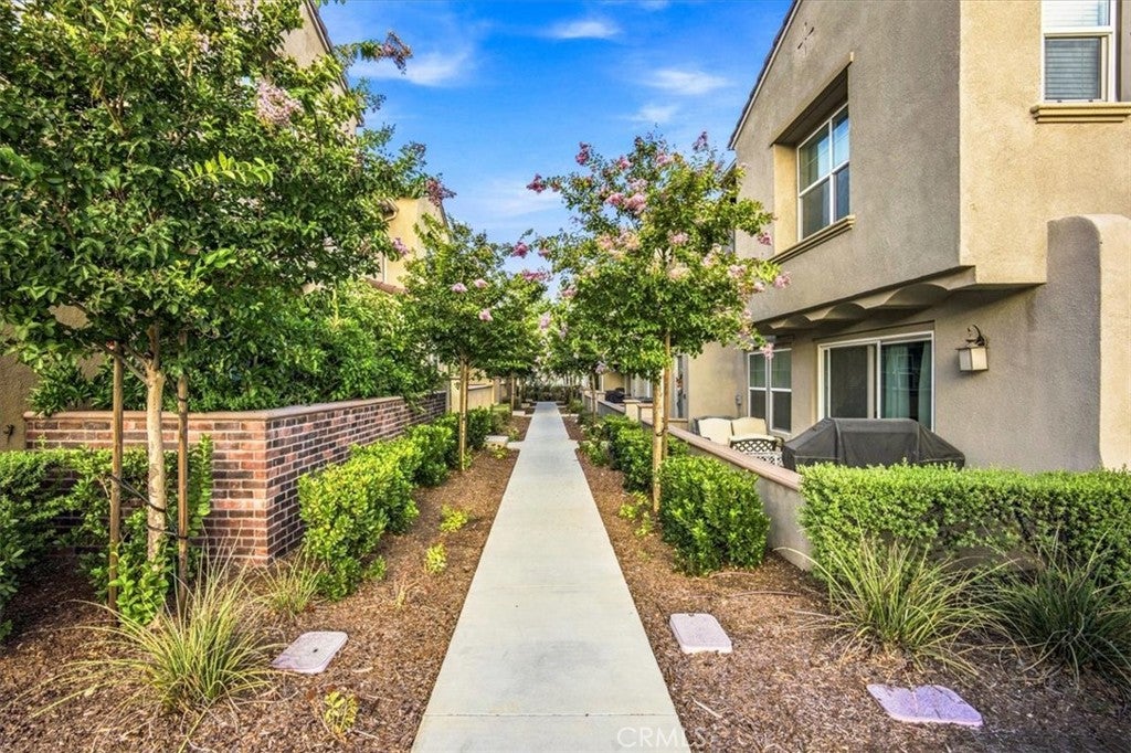 7155 Citrus