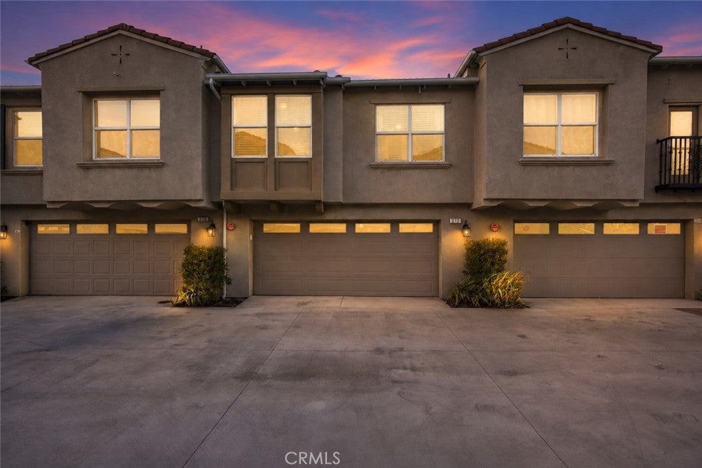 7155 Citrus 372