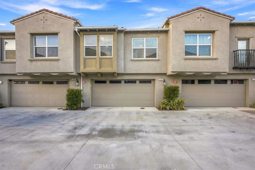 7155 Citrus 372