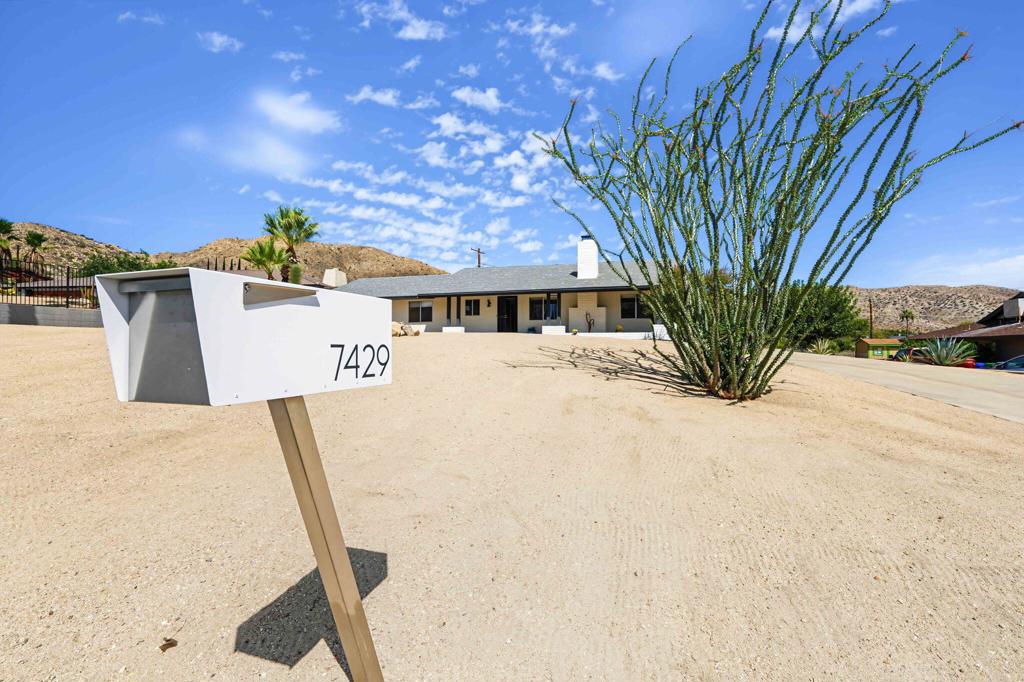 7429 Cardillo Trail