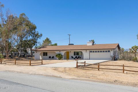 Photo of 7188 Lomita Road, Joshua Tree, CA 92252 (MLS # V1-36149)