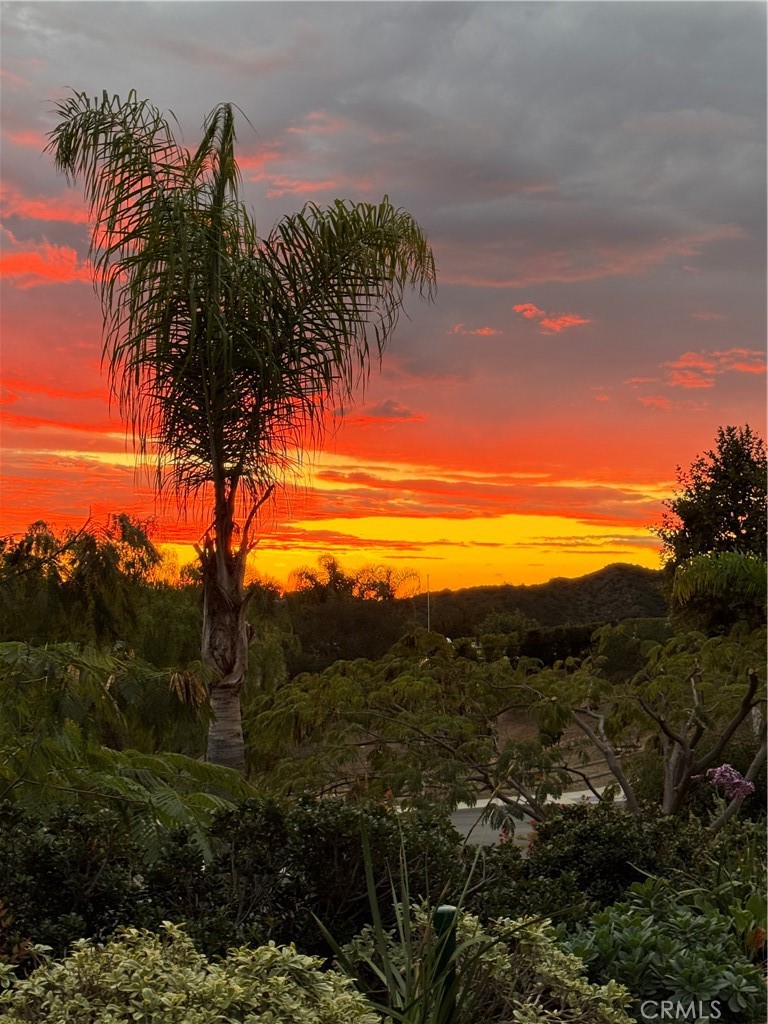 18522 Topanga Canyon