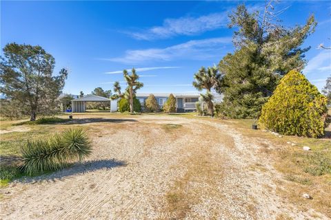 Photo of 13352 Gentian Court, Phelan, CA 92371 (MLS # IV26050320)