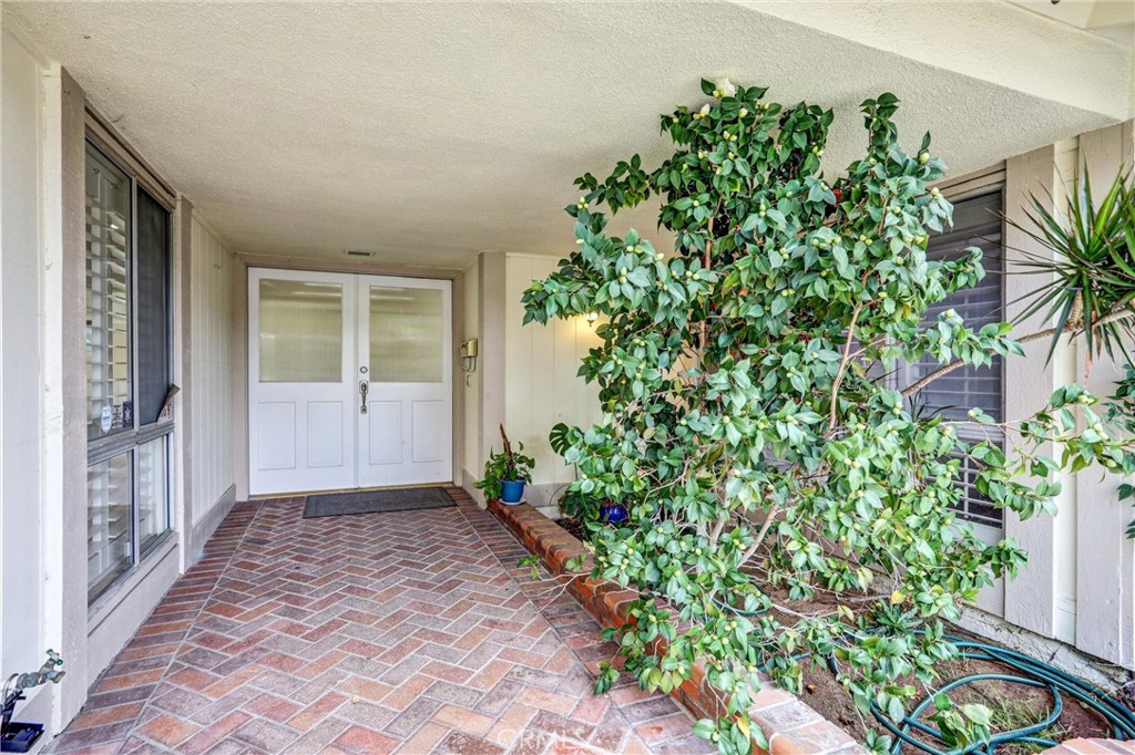 22616 Mountain Laurel