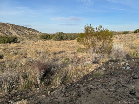 Photo of 0 Valyermo, Pearblossom, CA 93553 (MLS # SW26215758)