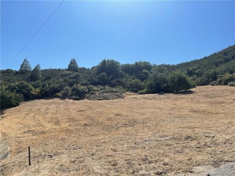 0 Noblett Drive  VIC Elderberr Lake Hughes CA 93532
