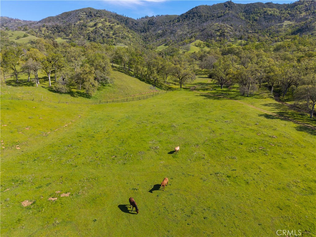 10950 Bachelor Valley Road