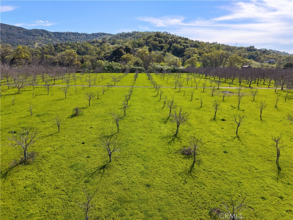 10950 Bachelor Valley Road