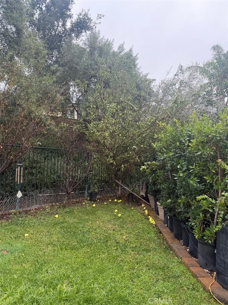 28512 Meadow Heights Court