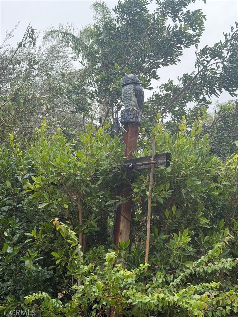 28512 Meadow Heights Court