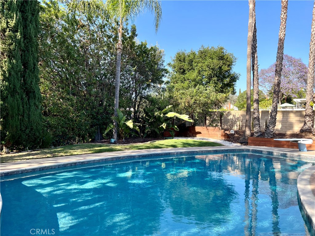 26635 Saddleback