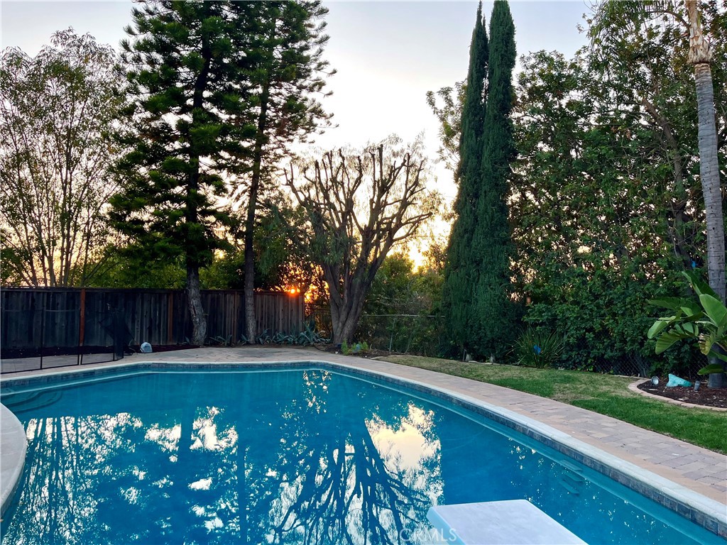 26635 Saddleback