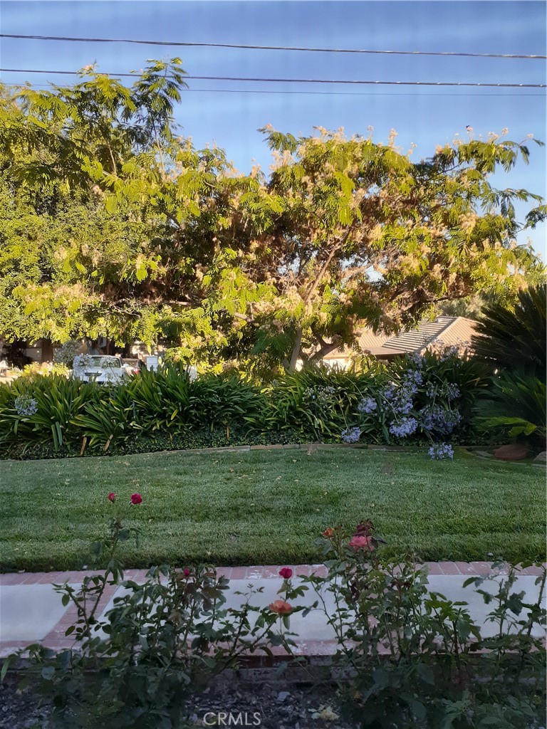 2427 Vista Drive