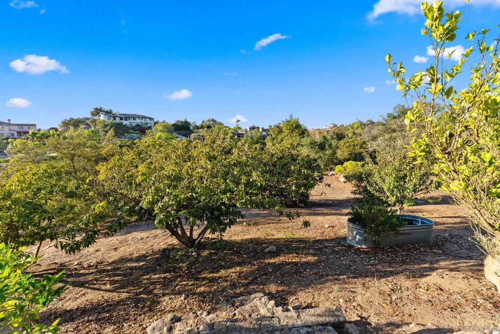 North Escondido - Residential