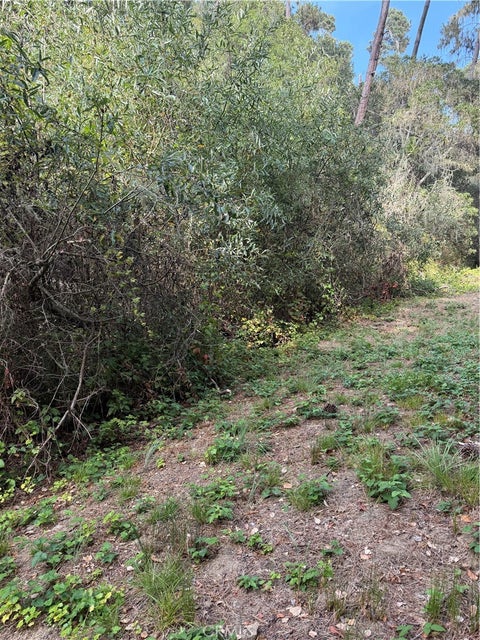 Tiny photo for 0 Sheffield Street, Cambria, CA 93428 (MLS # SC26179807)