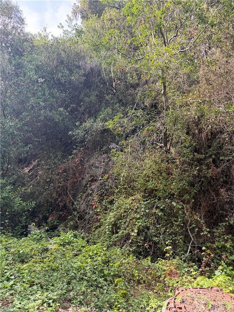 Photo of 0 Sheffield Street, Cambria, CA 93428 (MLS # SC26179807)