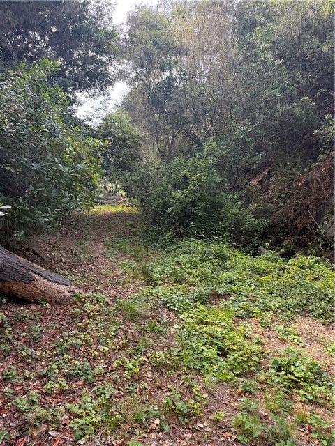 Tiny photo for 0 Sheffield Street, Cambria, CA 93428 (MLS # SC26179807)