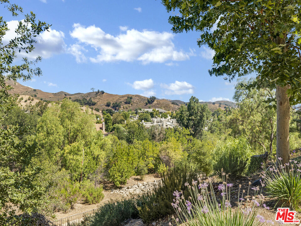 Best location in the Steeplechase! Views, views, views! This corner 2 Bedroom, 2 Bathroom, 2 Patio unit over looks the Malibu Creek greenbelt and has recently been updated and improved with new windows, new floors, recess lighting and an updated kitchen! Offering great privacy, it is turn key and feels more like a house than a condo as you step out the front door look down upon the Malibu Creek trails and offers the convenience of an attached garage and a mudroom for laundry. Don't settle for less, this updated home offers both the location and updates you deserve. A must see!