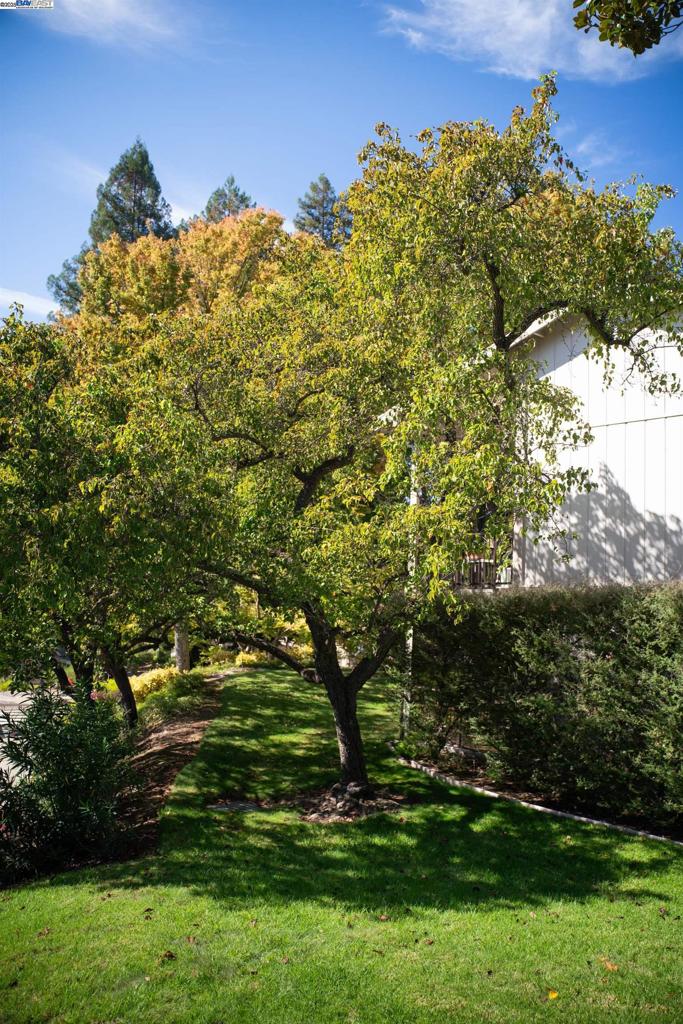 ROSSMOOR - Residential
