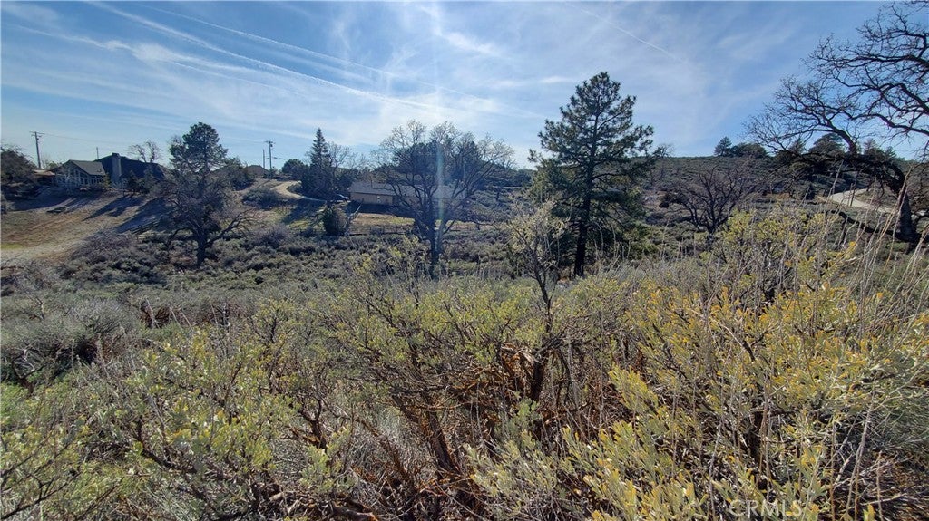 25041 Jacaranda Drive