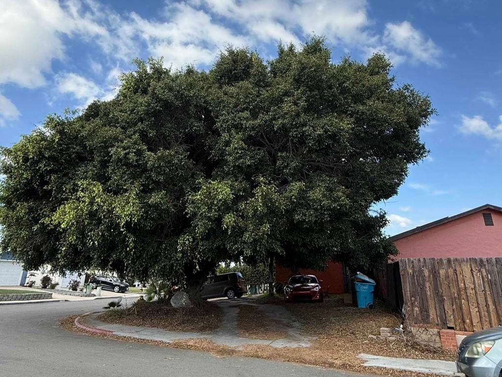 793 95 Rene Ct