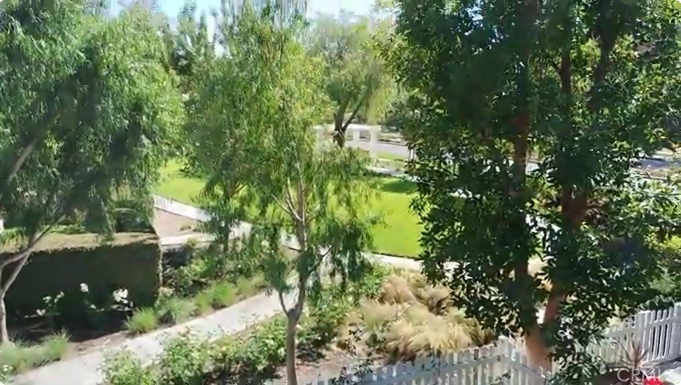 4 Honey Tree
