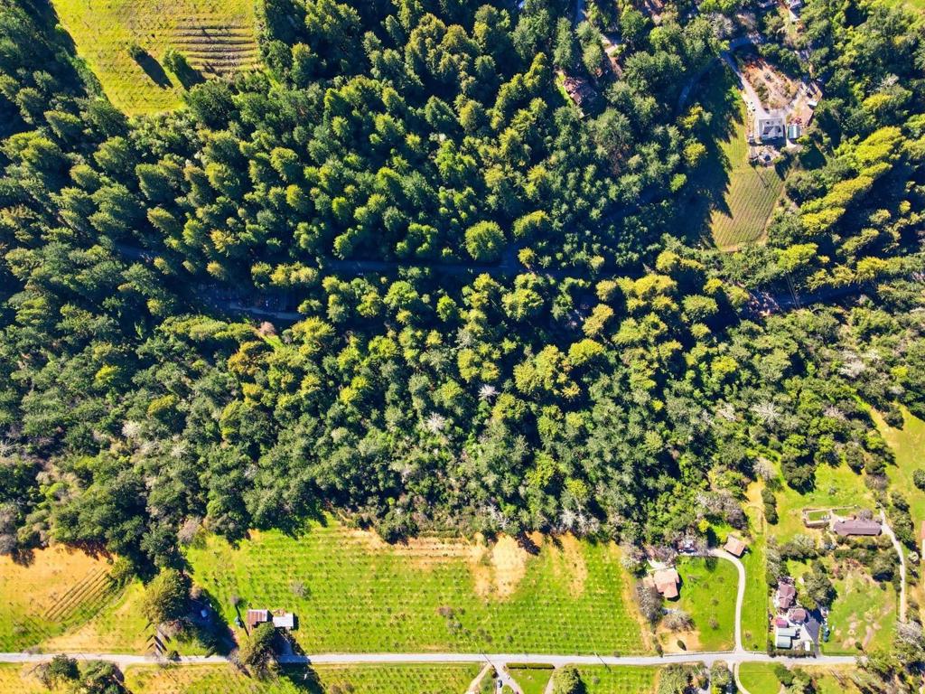 24580 Loma Prieta Avenue