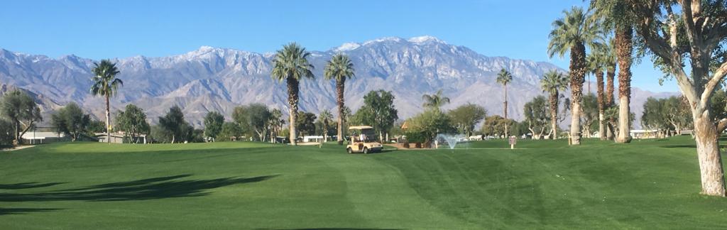 Palm Desert Greens - Manufactured In Park