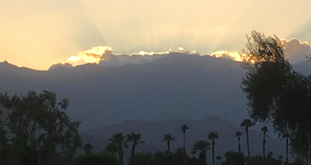 Palm Desert Greens - Manufactured In Park