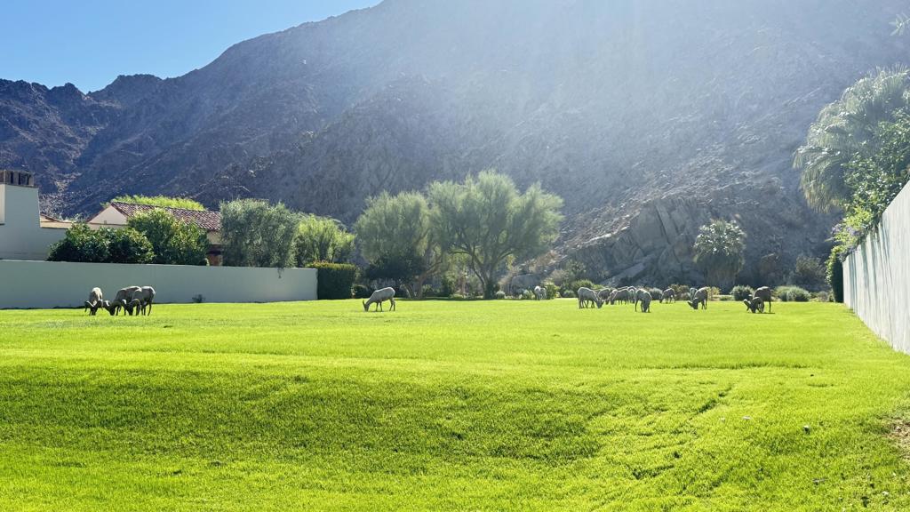 Tradition Golf Club - Land