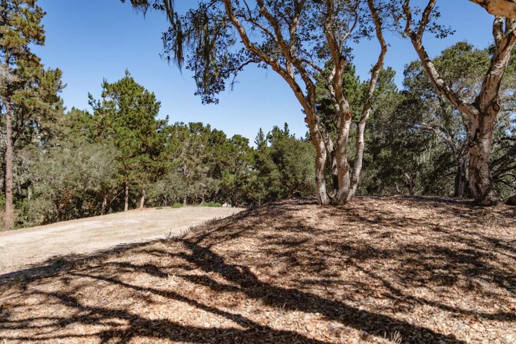 7715 Paseo Venado