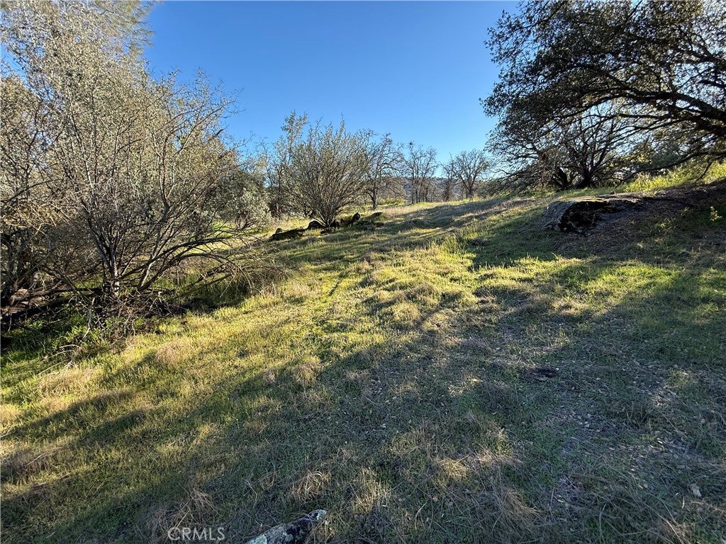 0 Long Hollow lot 1631