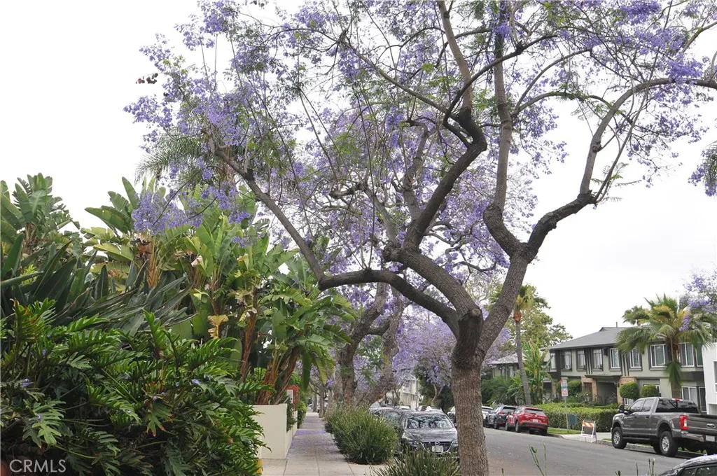 West Hollywood, California 90046, United States, 2 Bedrooms Bedrooms, ,2 BathroomsBathrooms,Residential,Active,153459