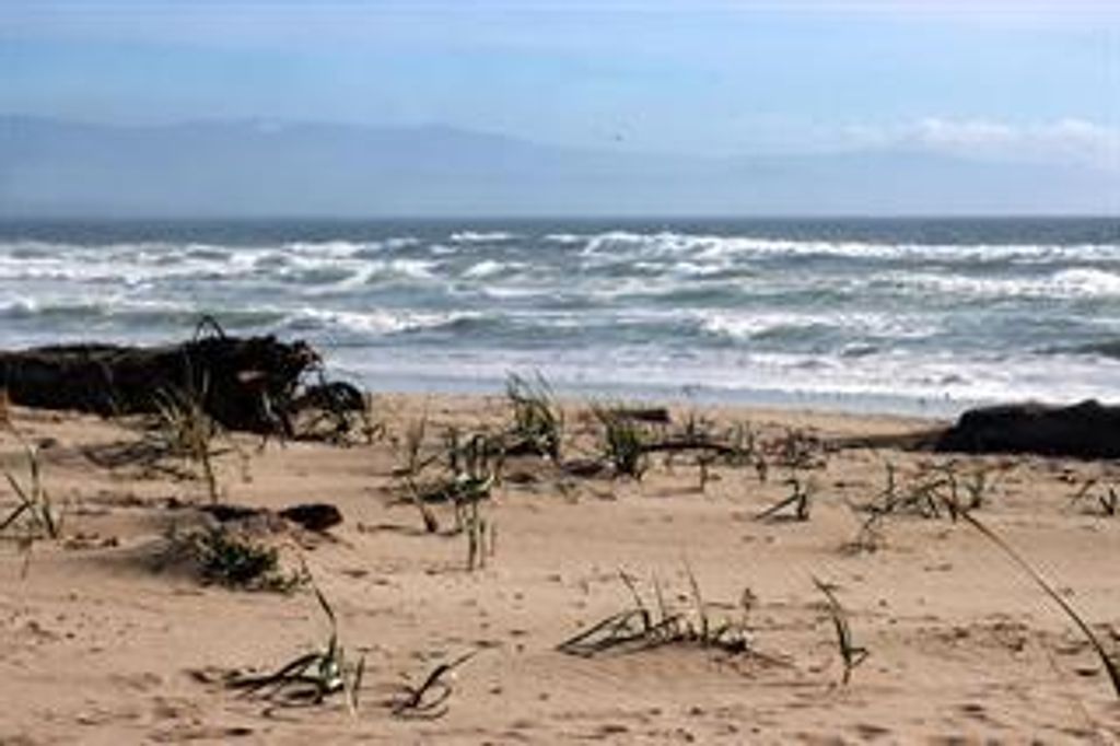 Photo of 53 Pelican Pt, Watsonville, CA 95076 (MLS # ML82033558)