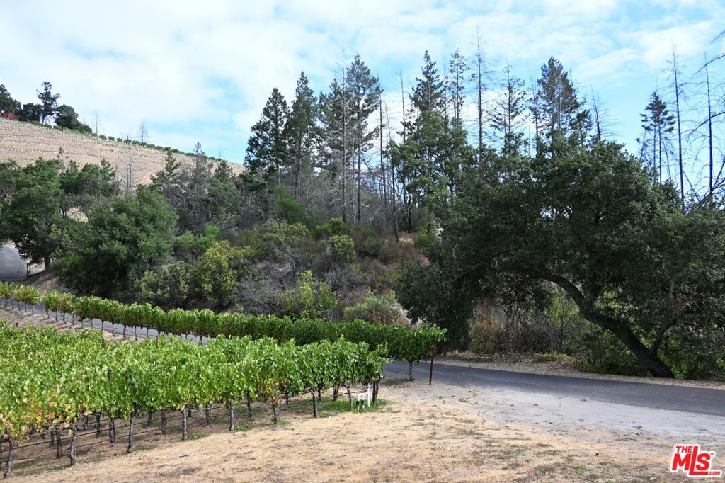 2910 Spring Mountain Road