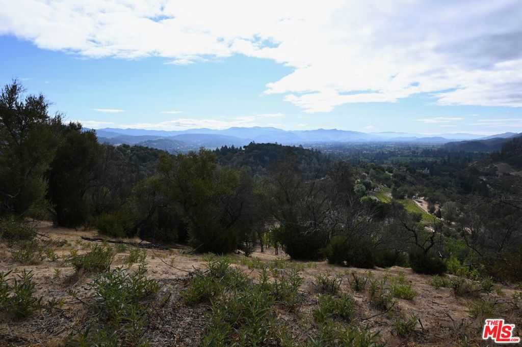 2910 Spring Mountain Road